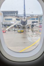 dreamliner.jpg