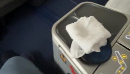 IMG_2237.jpeg