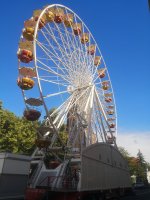 IMG_20260611_175118.jpg