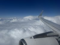 IMG_3934.JPEG