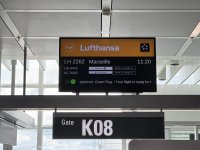 IMG_3936.JPEG