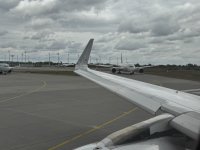 IMG_3947.JPEG