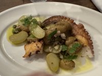 IMG_4067.JPEG