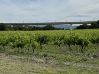 IMG_4096.JPEG