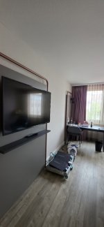 Ibis3.jpg