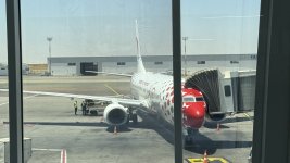 IMG_9776.jpeg IMG_9776.jpeg