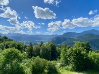 IMG_1539.jpeg