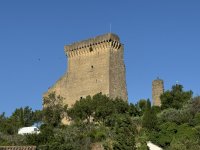IMG_4230.JPEG IMG_4230.JPEG