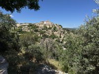 IMG_4333.JPEG IMG_4333.JPEG