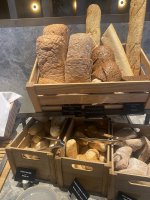 IMG_3718.jpeg