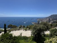 IMG_4467.JPEG IMG_4467.JPEG