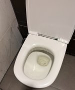 IMG_4302.jpeg IMG_4302.jpeg