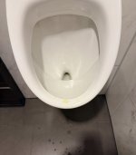 IMG_4301.jpeg IMG_4301.jpeg