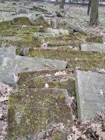 20260326_092715.jpg 20260326_092715.jpg