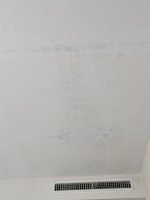 1783541659742.jpeg 1783541659742.jpeg