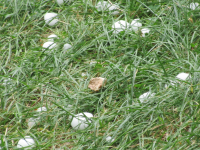 20260713_hail@Chur2.png