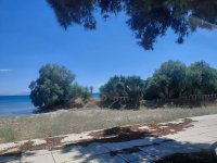 Rastplatz im Schatten, Blick über Wiese und Kies zum Meer, Yucca-Palmen am Ufer