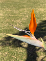 1784377289517.png 1784377289517.png