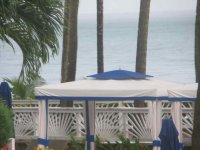 IMG_6768.jpg