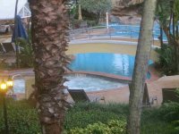 IMG_6770.jpg