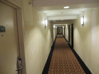IMG_6885.jpg IMG_6885.jpg
