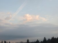 IMG_6882.jpg