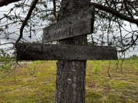 IMG_3303.JPEG