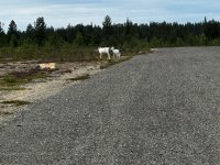 IMG_3198.JPEG