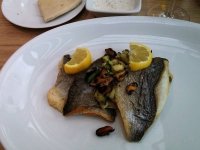 IMG_20260724_144614_395~2.jpg