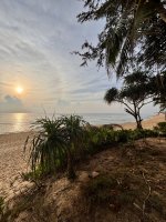 IMG_4587.jpeg