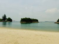 IMG_3341.jpeg IMG_3341.jpeg