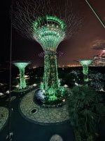 IMG_3377.jpeg IMG_3377.jpeg