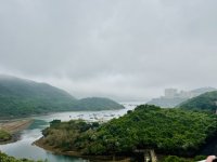 IMG_3593.jpeg IMG_3593.jpeg