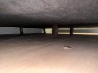 IMG_5455.jpeg
