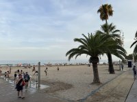 IMG_5389.JPEG IMG_5389.JPEG