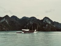 IMG_4187.jpeg IMG_4187.jpeg