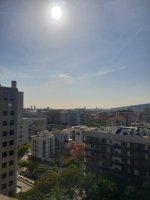 20260817_095524.jpg