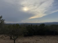 IMG_5442.JPEG IMG_5442.JPEG