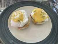 IMG_6330.jpeg