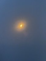 IMG_5494.JPEG IMG_5494.JPEG