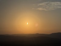 IMG_5546.JPEG IMG_5546.JPEG