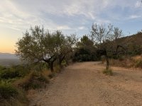 IMG_5551.JPEG IMG_5551.JPEG