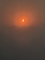 IMG_5557.JPEG IMG_5557.JPEG