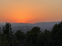 IMG_5560.JPEG IMG_5560.JPEG
