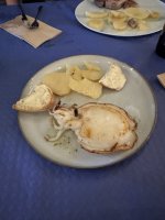 IMG_5569.JPEG IMG_5569.JPEG