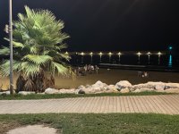 IMG_5576.JPEG IMG_5576.JPEG
