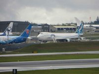 IMG_7039.jpg