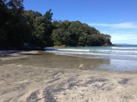 Waihi Beach.jpg