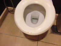 image[35].jpeg