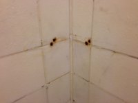 image[49].jpeg